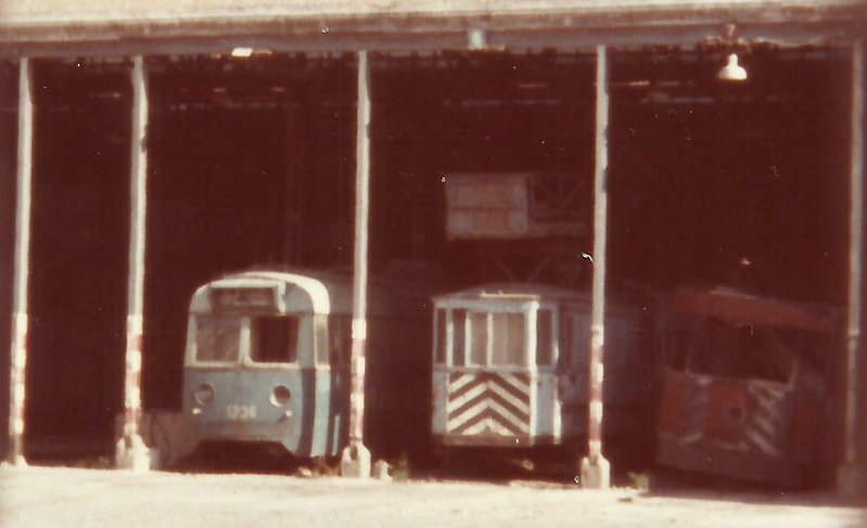 1236.jpg