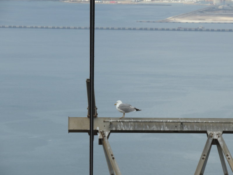 DSCN8925.JPG