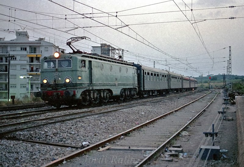 263.jpg