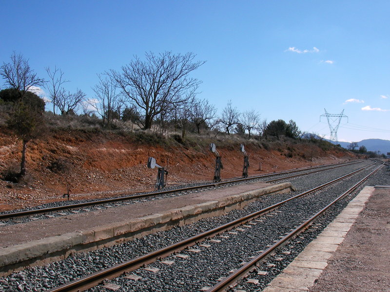 SANY0030.JPG