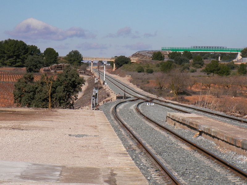 SANY0031.JPG