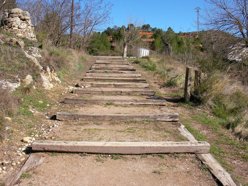 SANY0033.JPG