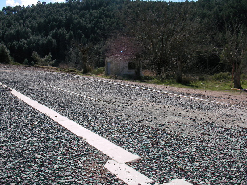 SANY0035.JPG
