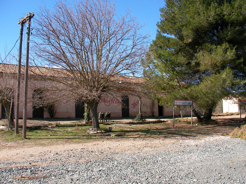 SANY0036.JPG