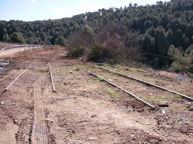 SANY0039.JPG