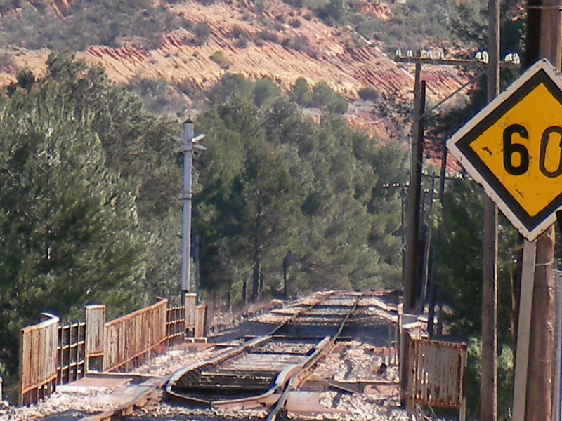SANY0040.JPG