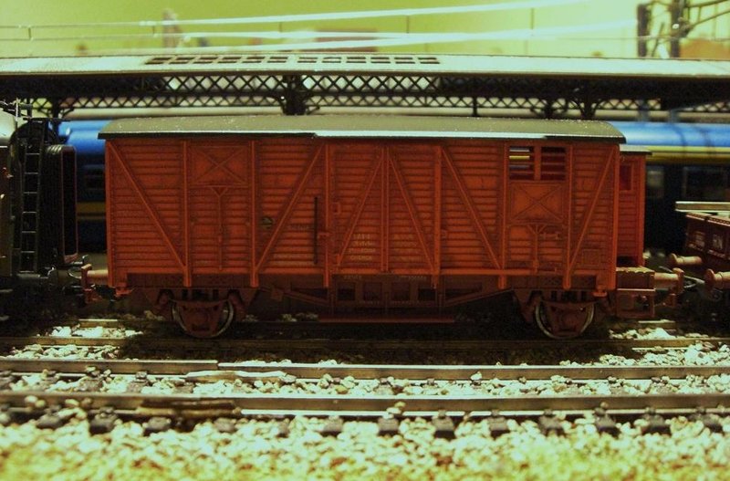 CIMG8429.JPG