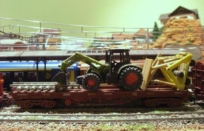 CIMG8430.JPG