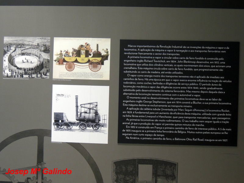 DSCN7157.jpg