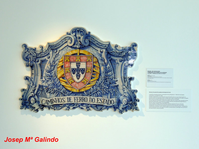 DSCN7170.jpg