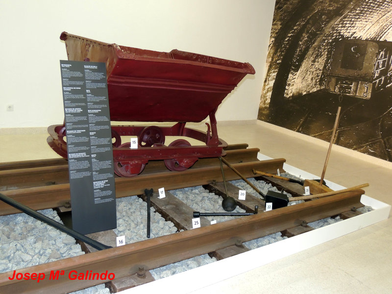DSCN7189.jpg