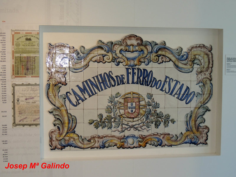 DSCN7196.jpg