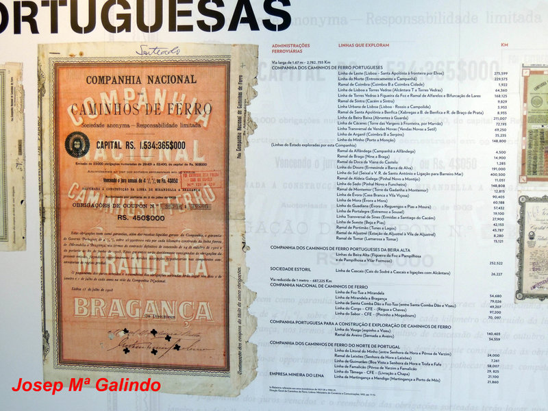 DSCN7197.jpg