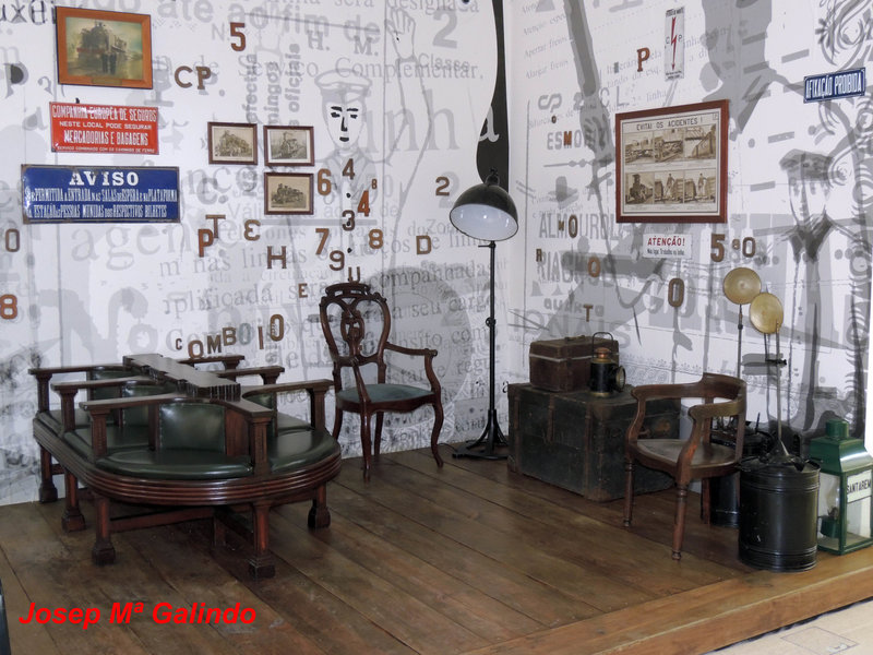 DSCN7206.jpg