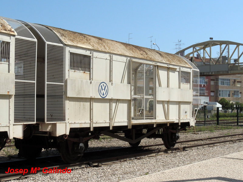 DSCN7225.jpg