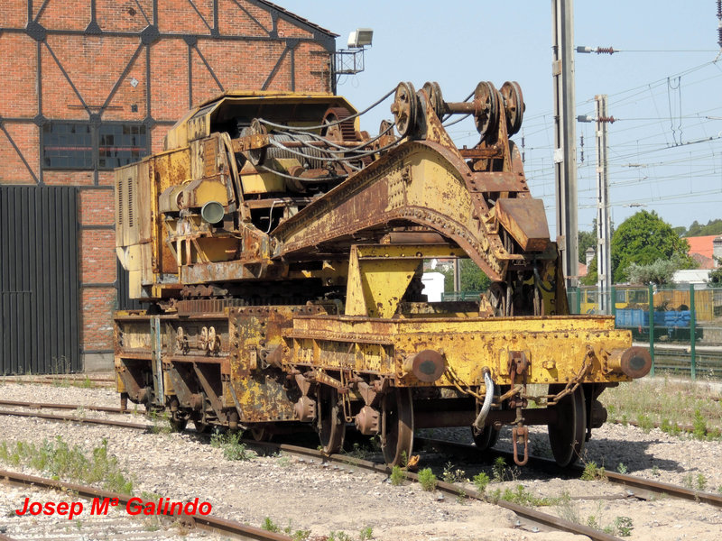 DSCN7231.jpg