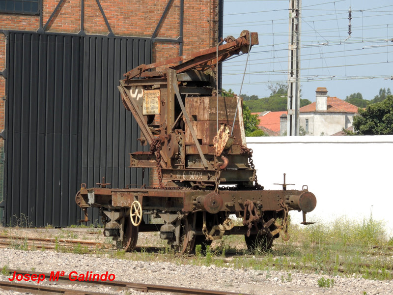 DSCN7233.jpg