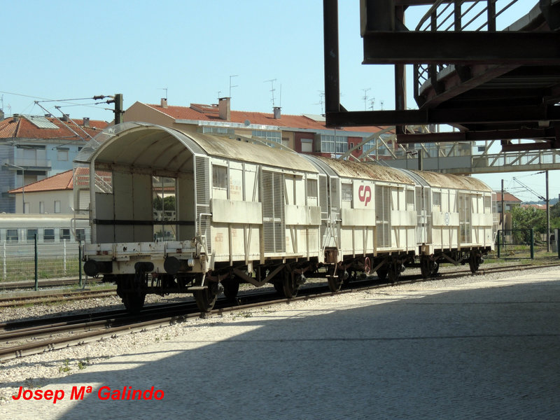DSCN7234.jpg