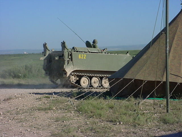 205.jpg
