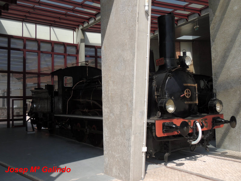 DSCN7237.jpg