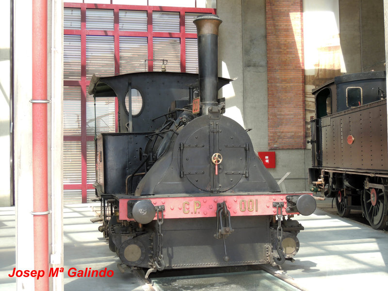 DSCN7239.jpg