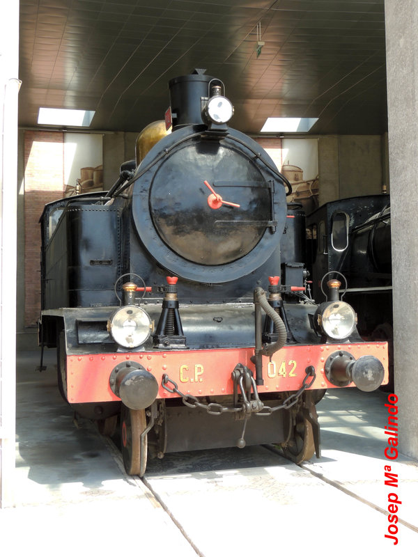 DSCN7251.jpg