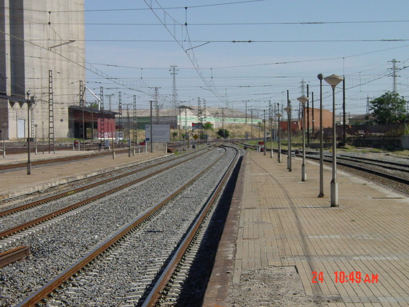 DSC08355.JPG