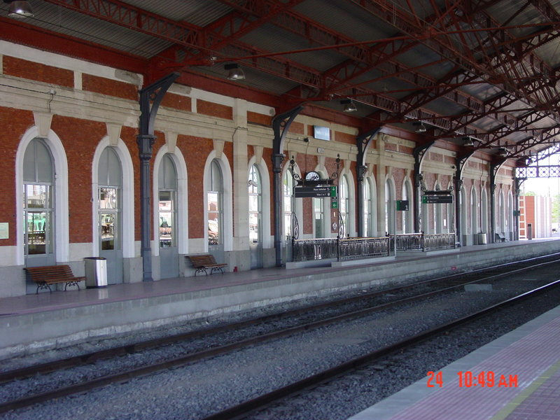 DSC08357.JPG