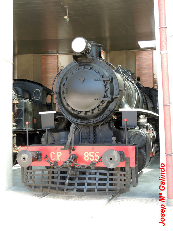 DSCN7266.jpg