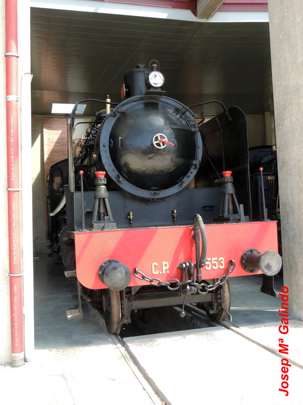 DSCN7274.jpg