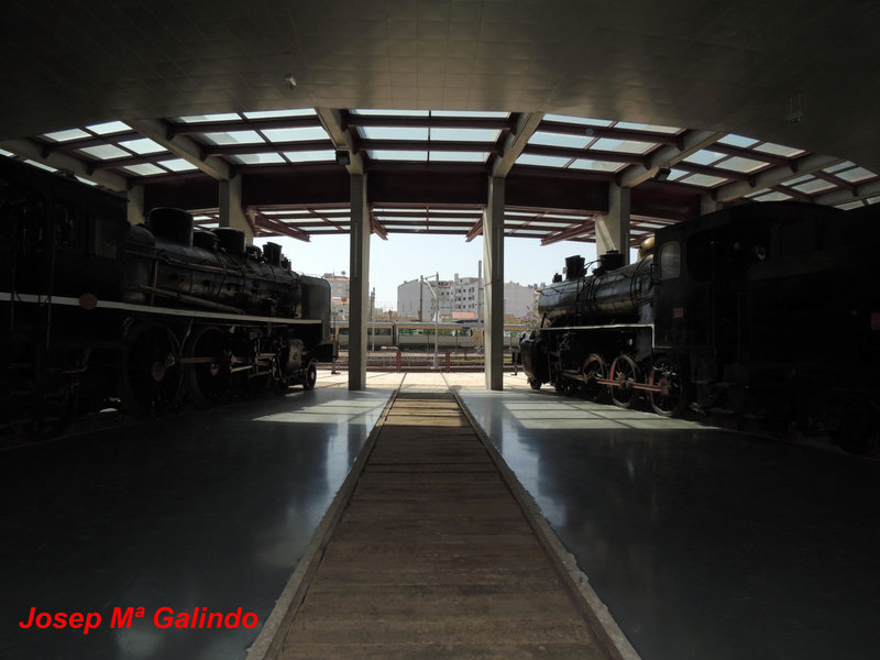 DSCN7276.jpg