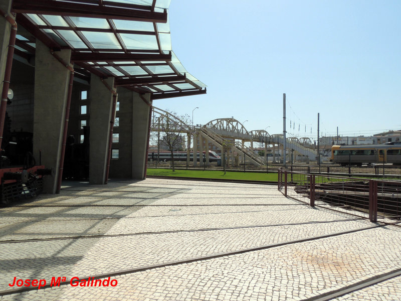 DSCN7277.jpg