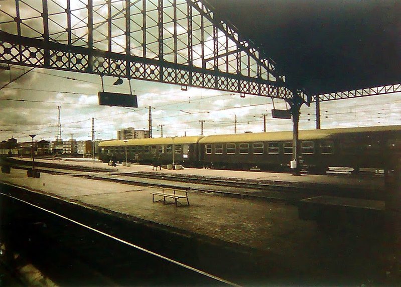 52184577.jpg
