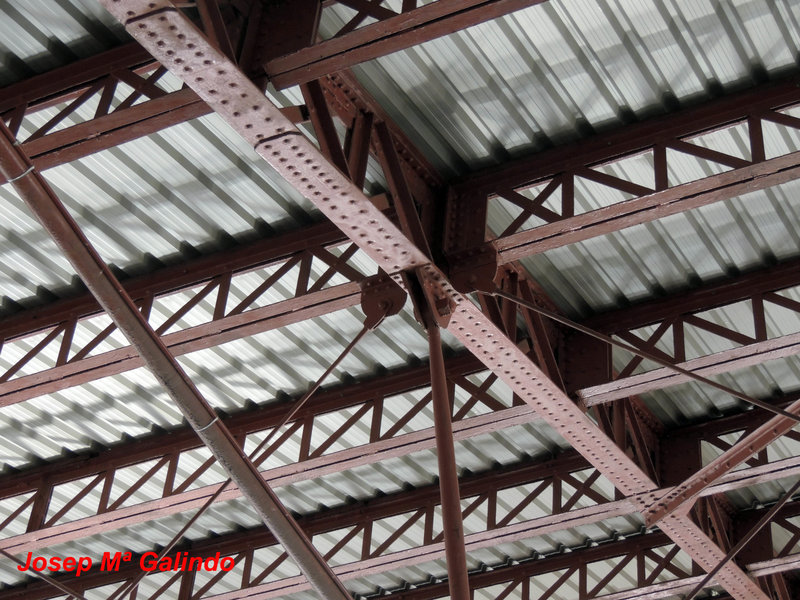 DSCN9142.jpg