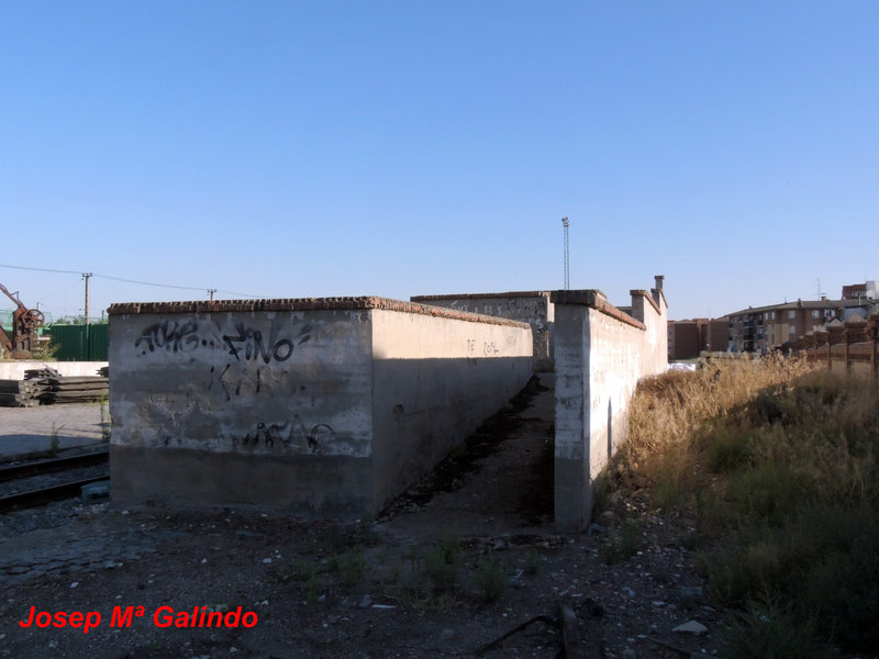 DSCN9159.jpg