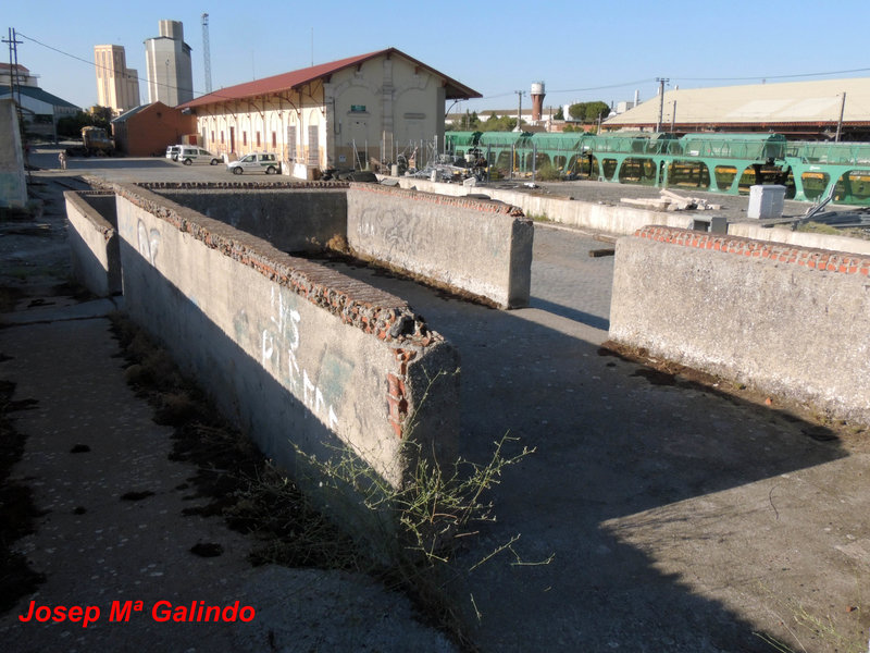 DSCN9161.jpg