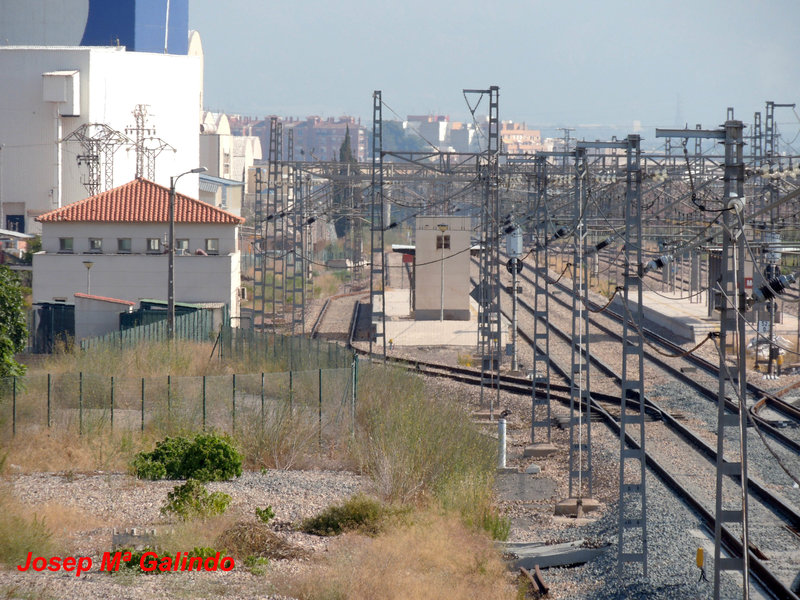 DSCN8575.jpg