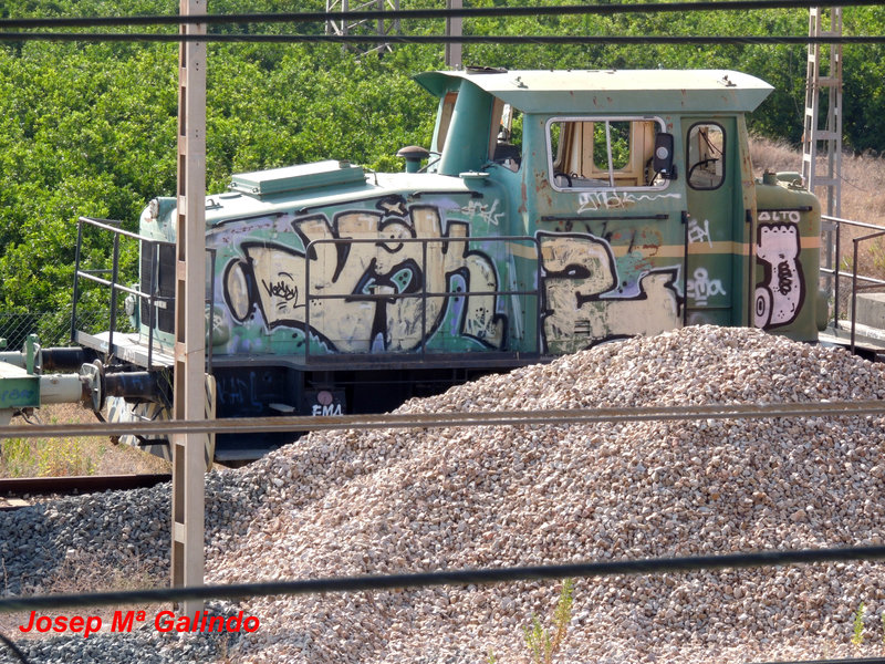 DSCN8576.jpg