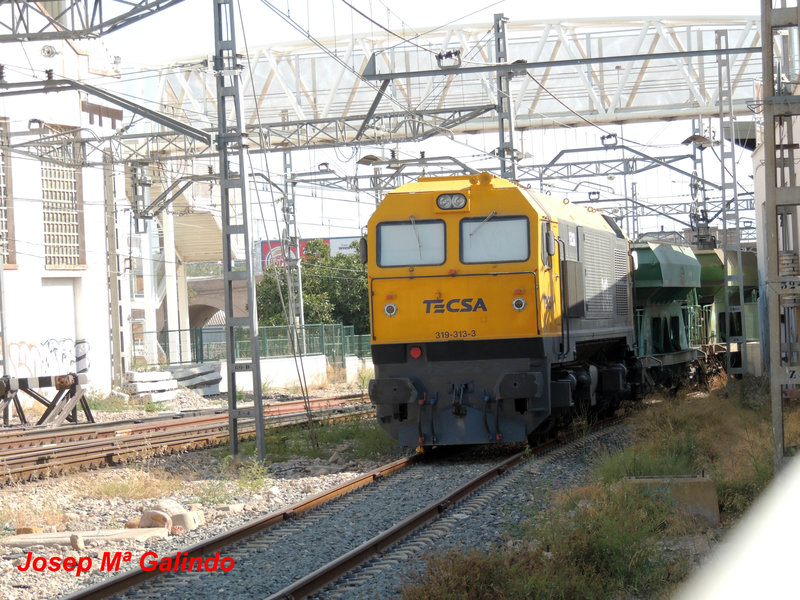 DSCN8583.jpg