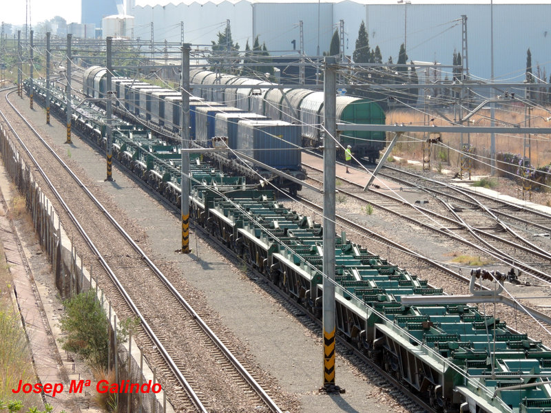 DSCN8588.jpg