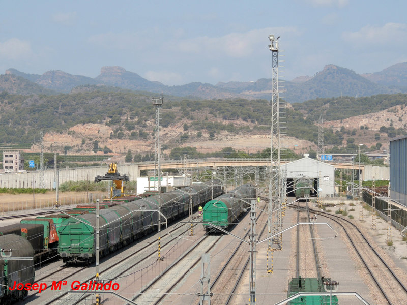 DSCN8590.jpg