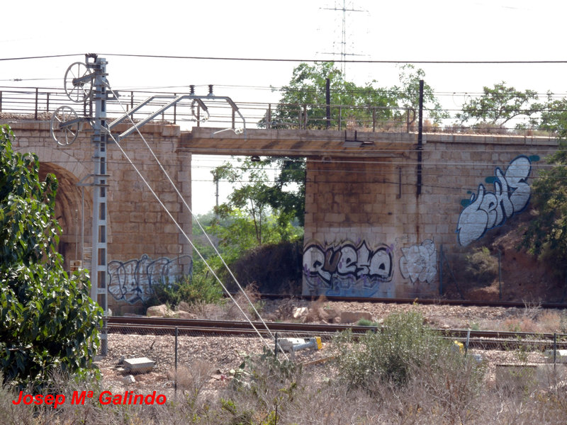 DSCN8620.jpg