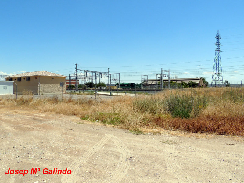 DSCN8638.jpg