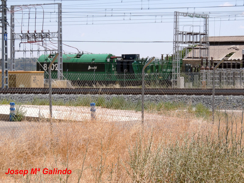 DSCN8639.jpg