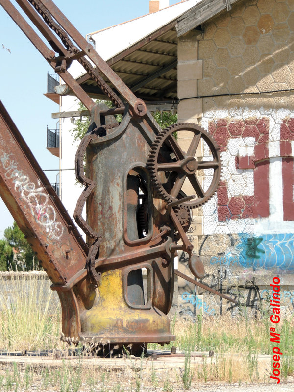 DSCN8656.jpg