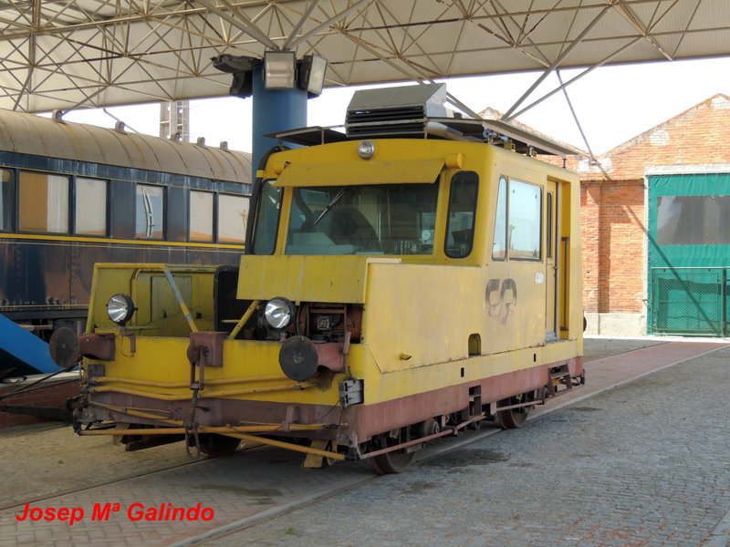 DSCN7315.jpg