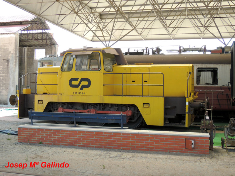 DSCN7316.jpg