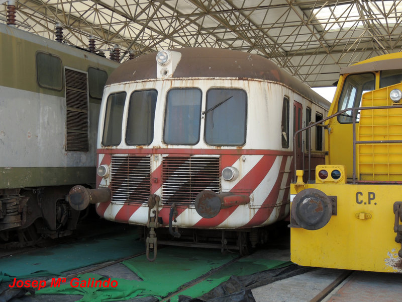 DSCN7318.jpg