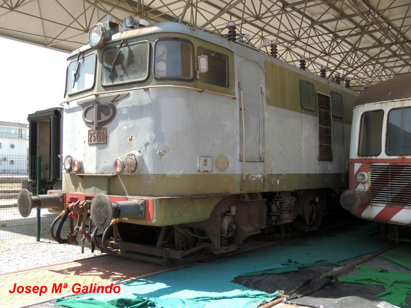DSCN7319.jpg