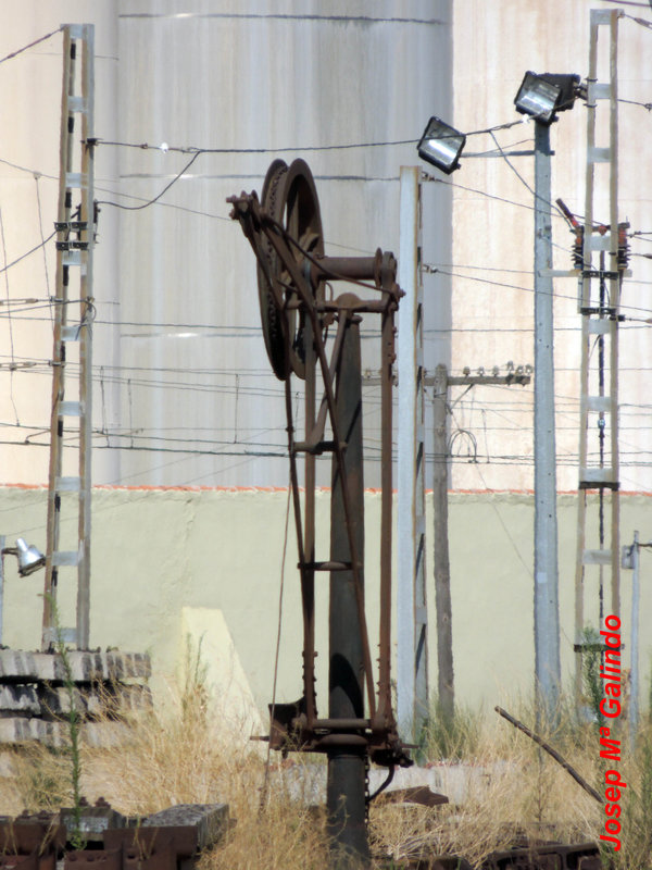 DSCN8686.jpg